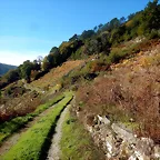 DSCN4486