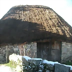 DSCN4866