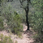 PICT0062