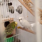 20190521_210320