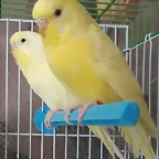 FB_IMG_1498303762752