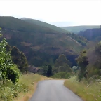 DSCN3227