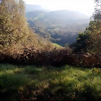 DSCN9461