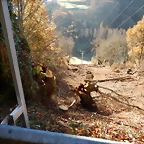 DSCN9006