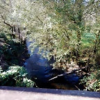 DSCN1030