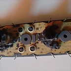 yam-11