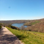 DSCN5731