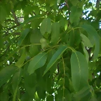 IMGP8701