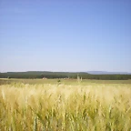 IMGP8690