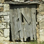 IMGP8681