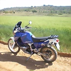 IMGP8685