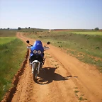 IMGP8688