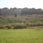 IMGP8686