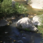 IMGP8699