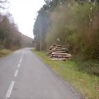 DSCN8168
