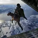 Paracaidista y perro
