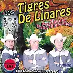 los tigres para bailar toda la noche