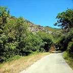 DSCN3907