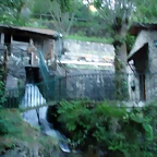 P1010206