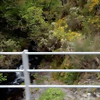 DSCN0864