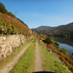 DSCN4635