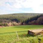 DSCN5371