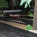 DSCF4774