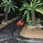 DSCF4785