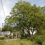 DSCN1179