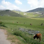 DSCN3651