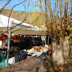 DSCN0210