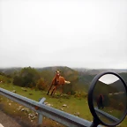 DSCN6650