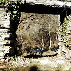 DSCN1518