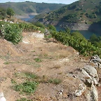 DSCN3952