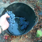 DSCN3925