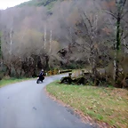 DSCN1994