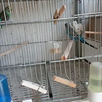 IMG_20250605_085347
