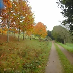 DSCN9157