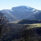 oribio