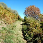 DSCN8049