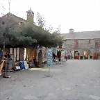 DSCN9009