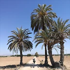 IMG_20210627_114642