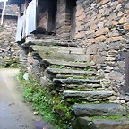 DSCN6071