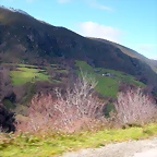 DSCN7820