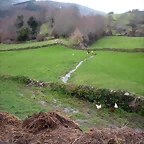 DSCN2793
