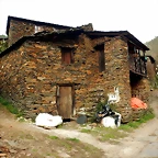 DSCN3217