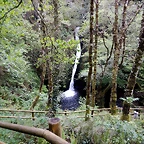 DSCN0714