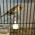 IMG_20170122_131205