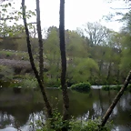 DSCN4154