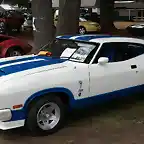 Ford_Falcon_Cobra